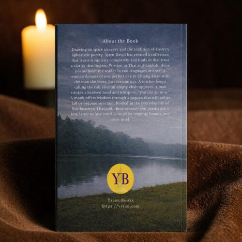 Paperback Book in Candle Light